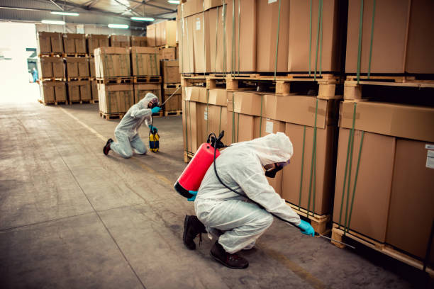 Best Flea Control Services  in Highland Falls, NY