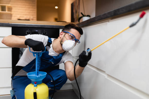 Best Ant Control Services  in Highland Falls, NY