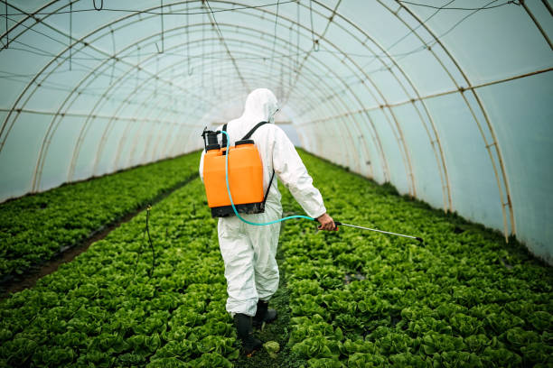 Best Pest Removal Services  in Highland Falls, NY