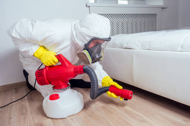 Best Insect Control  in Highland Falls, NY