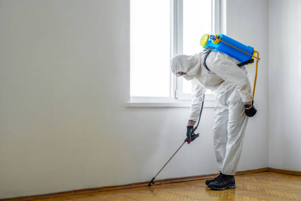 Best Local Pest Control Services  in Highland Falls, NY