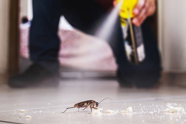 Best Rat Extermination Near Me  in Highland Falls, NY