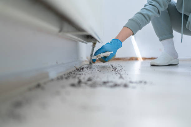Best Pest Inspection Near Me  in Highland Falls, NY