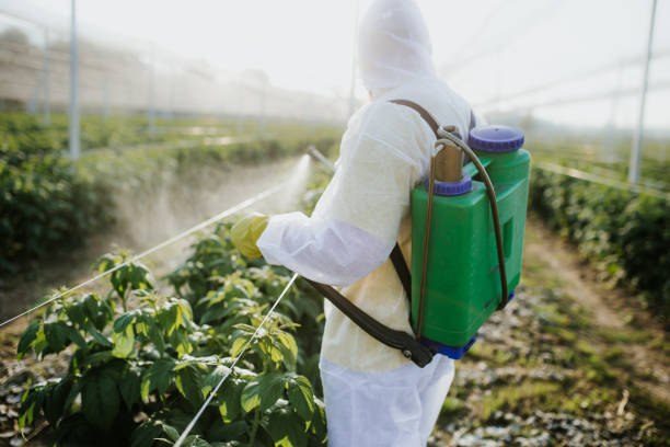 Best Ant Control Services  in Highland Falls, NY